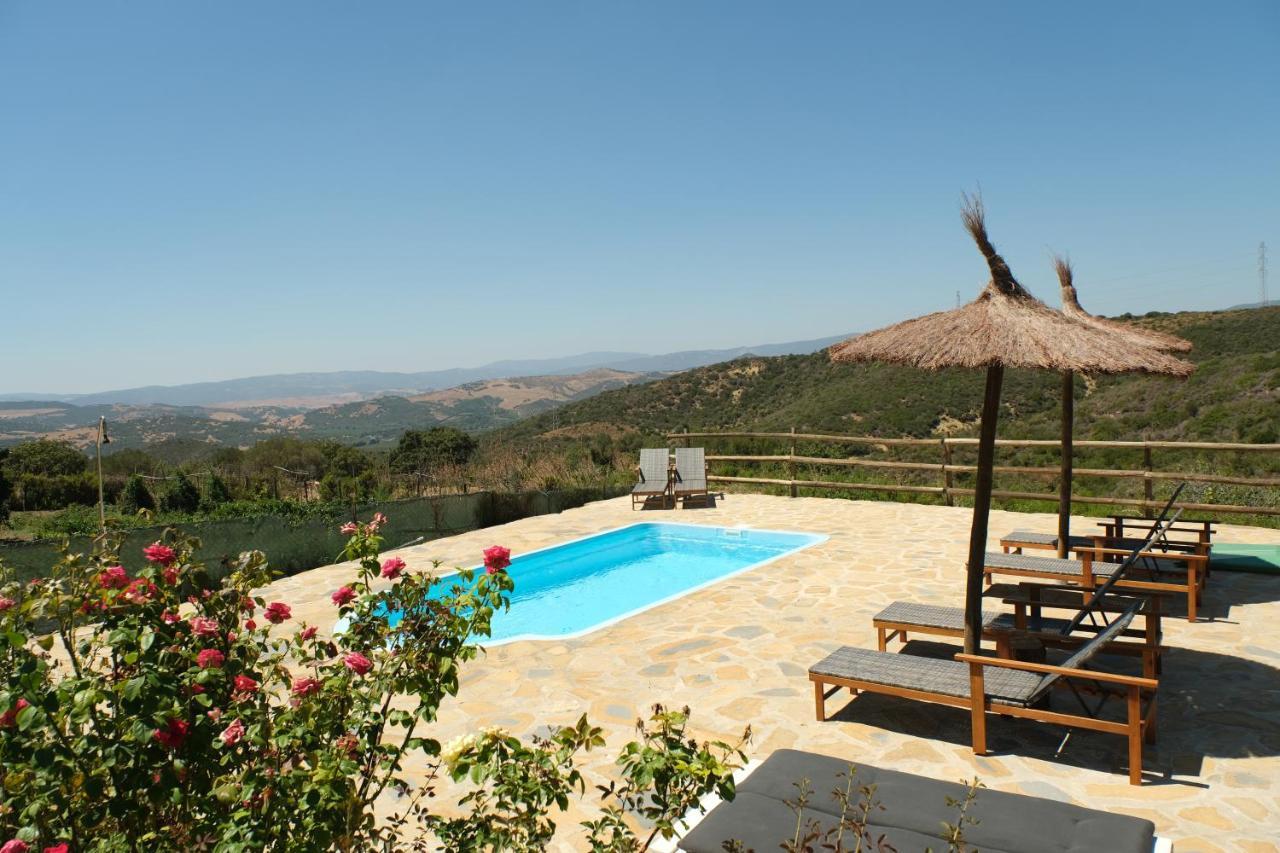 The Wild Olive Andalucia Citrus Suite Casares Kültér fotó